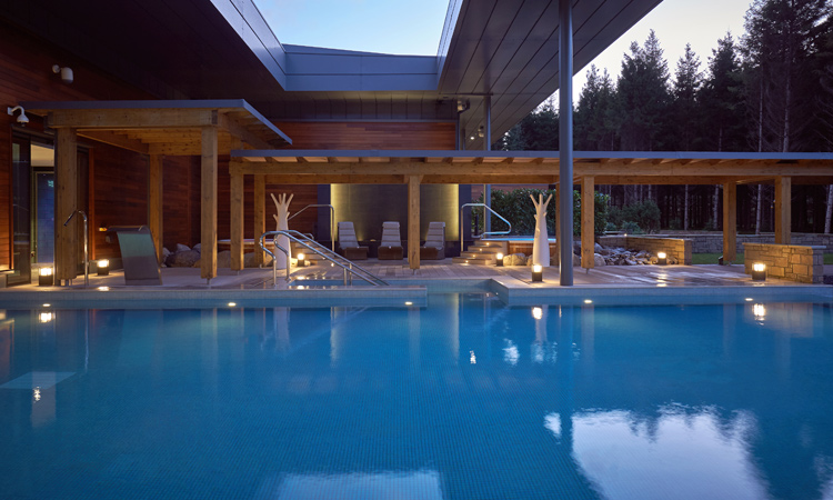 Still Outdoor Pool with views out to the vast forest.