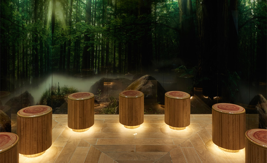 Forest themed steam room with tree trunk seating and twinkling lights.