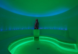 green experience room 