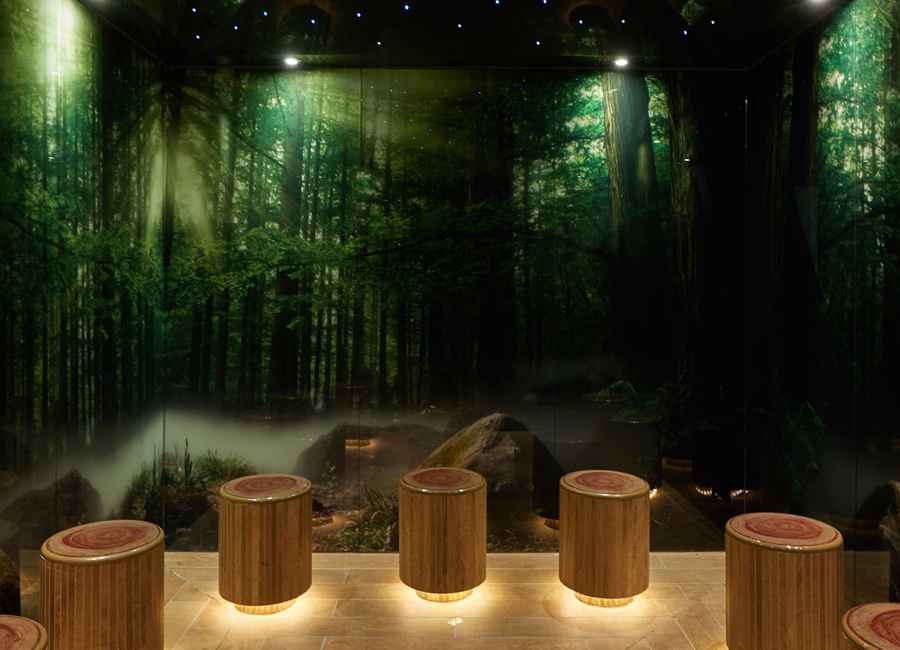 forest themed experience room with small tree stub appearing seats