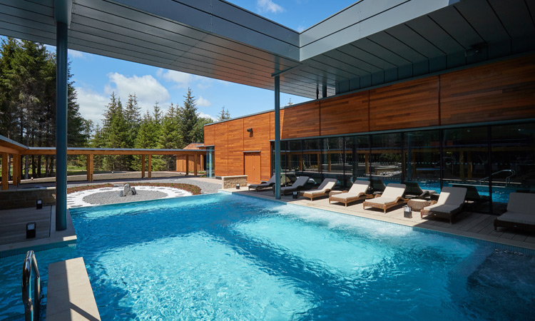 Outdoor pool surrounded by sun loungers and vast forest views.